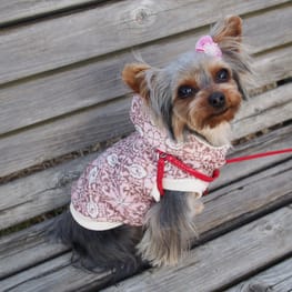 やすべえさんの作品