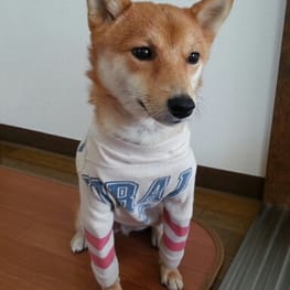 ナツ色さんの作品