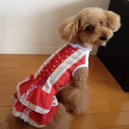 らくすさんの作品