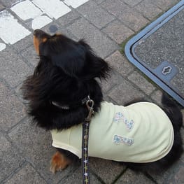 ライさんの作品