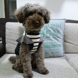 kunkunさんの作品