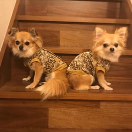 バックオープンベスト/millacra / 愛犬のための犬服、ペット服の型紙