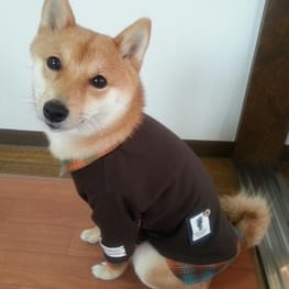 ナツ色さんの作品