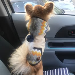 へまちゃんさんの作品