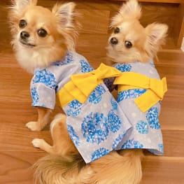犬服のハンドメイド作品-みんなのかわいい手作り犬服 / 愛犬のための犬 