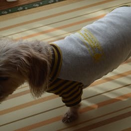 ひなはなさんの作品