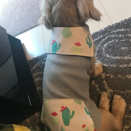 Asamilkさんの作品