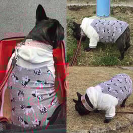 咲桜さんの作品