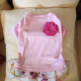 Princessmiyaさんの作品