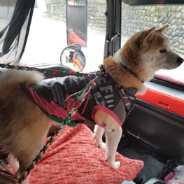 mizukiakiraさんの作品