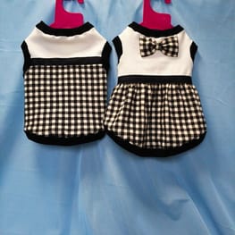 ふみちゃんさんの作品