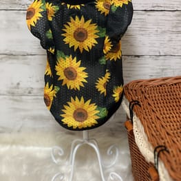 NoaPomさんの作品