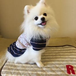 Raku-Naさんの作品