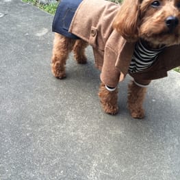 パコさんの作品