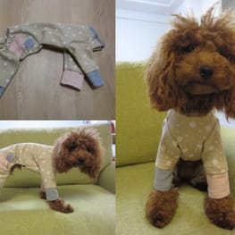 inainaさんの作品