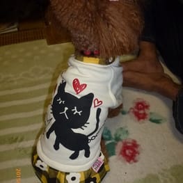 ちみこママさんの作品