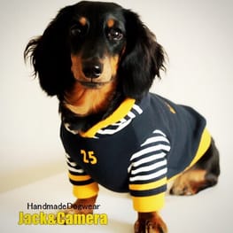 akizoo88さんの作品