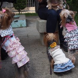 やすべえさんの作品