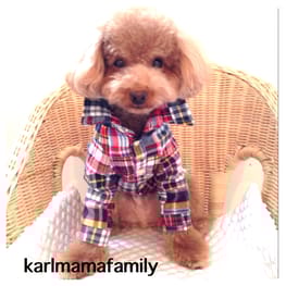 KARLmamaさんの作品