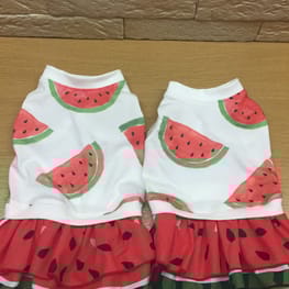 コハルさんの作品