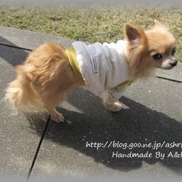 りんたんさんの作品