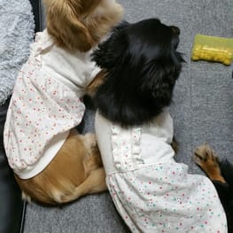 ちみさんの作品