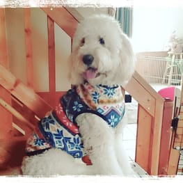 そらさんの作品