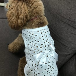 あられママさんの作品