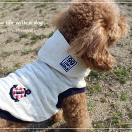 cocoonさんの作品