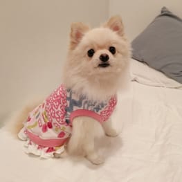 にこママさんの作品