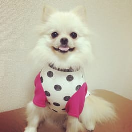 ひとみさんの作品