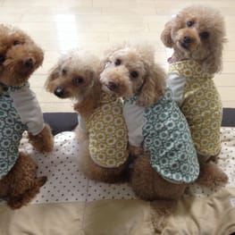 blancoさんの作品