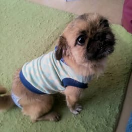 pobalさんの作品