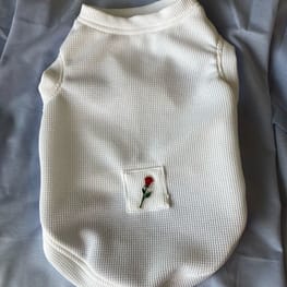 WKSchatzさんの作品