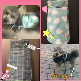 marimoさんの作品