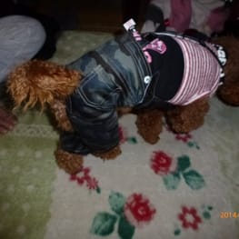 ちみこママさんの作品