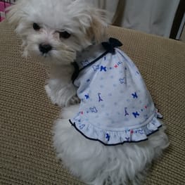 ひめママさんの作品