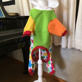 ぴょんさんの作品