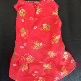 ティンクさんの作品