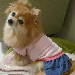 ポメママさんの作品