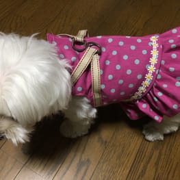 柚子さんの作品