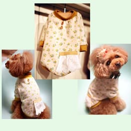 ぴあるさんの作品