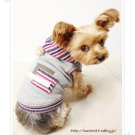 Lumiereさんの作品