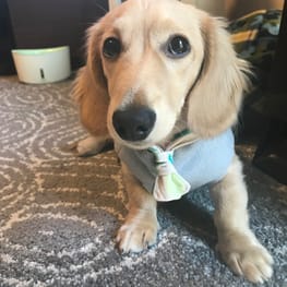 Asamilkさんの作品