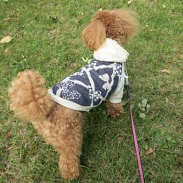 kuuminさんの作品