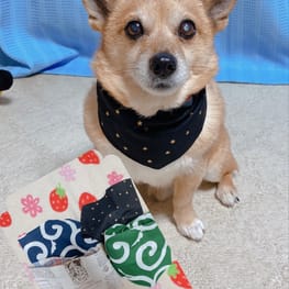 sHinoさんの作品