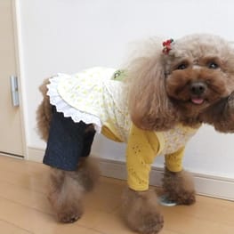 リリアままさんの作品