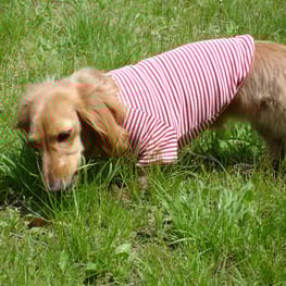 COCOままさんの作品