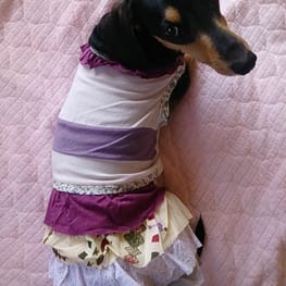 きよぽんさんの作品