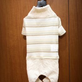 てるりんさんの作品